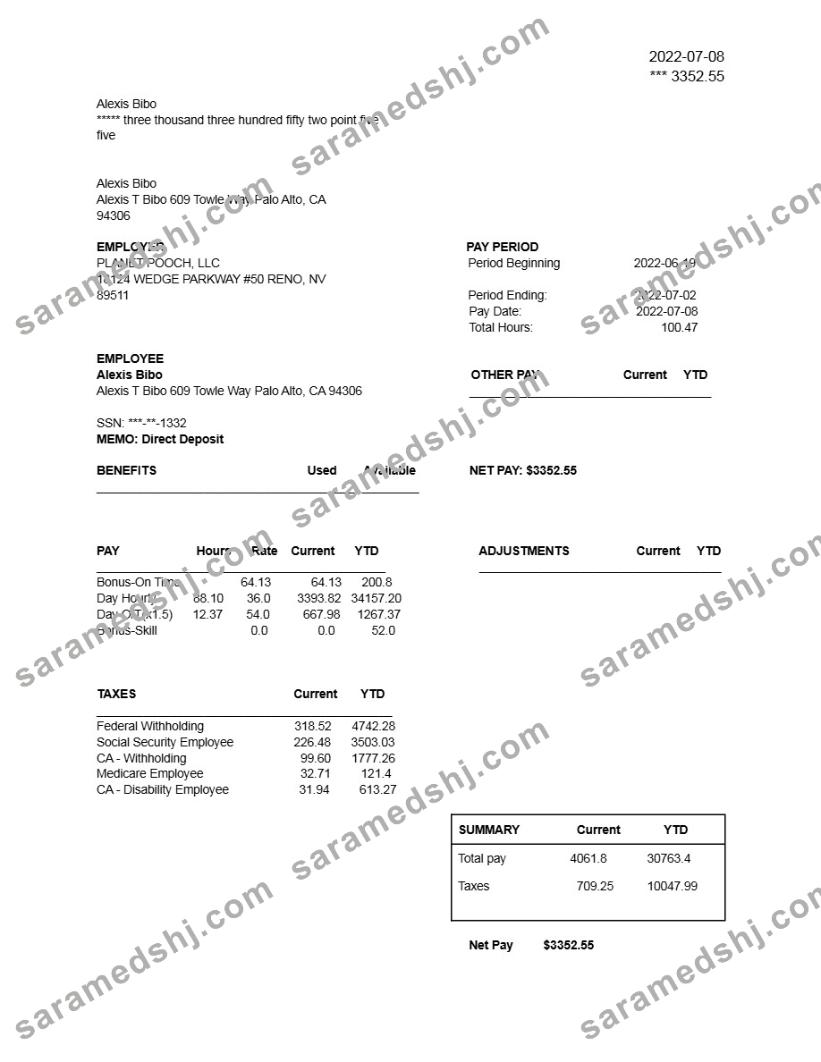 PLANET POOCH, LLC earnings statement template in Word and PDF formats.pdf, 1